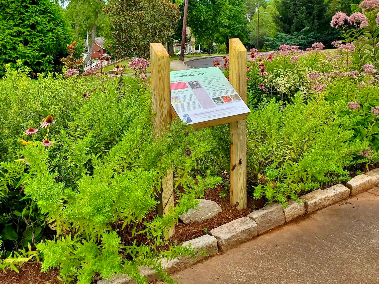 What's New this Week at Painters Greenhouse